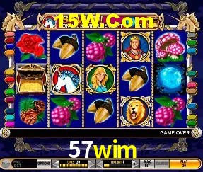 Estatísticas do Jogo 57wim